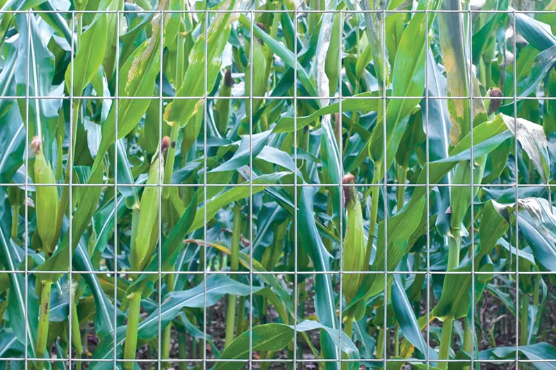 The Strength and Versatility of 75×75 Steel Posts